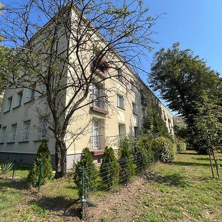 Apartament Centrum Rp Катовице Екстериор снимка